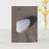 Muschel zur "Sand Condolence Card" Karte (Gelbe Blume)