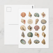 Muschelcollage Postkarte (Vorne/Hinten)