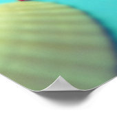 Muscheldruck Poster (Ecke)