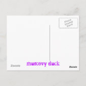 Muschelente Postkarte (Rückseite)