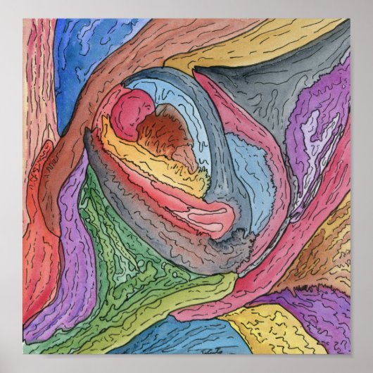 Muschelhand Poster (Vorne)