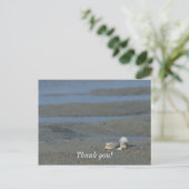 Muschelhaufen Postkarte (Stehend Vorderseite)