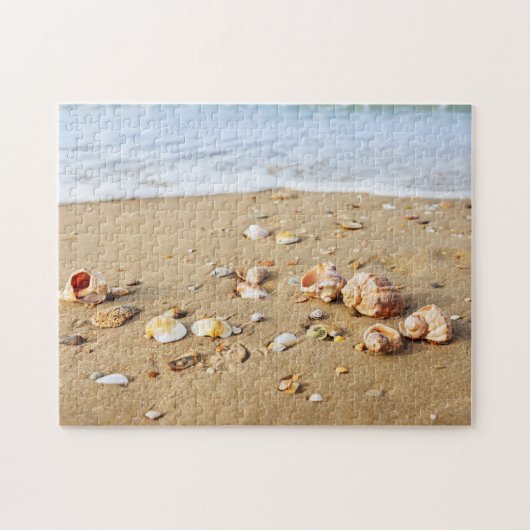 Muschelkollektion Puzzle (Horizontal)