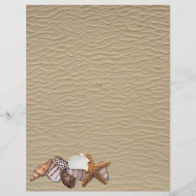 Muscheln (Vorderseite)