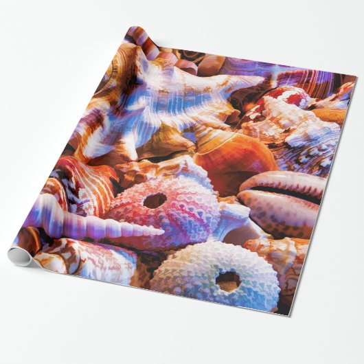 Muscheln 1 Alt Geschenkpapier (Ungerollt)