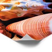 Muscheln 1 Alt Poster (Ecke)