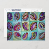 MUSCHELN 3 POSTKARTE (Vorne/Hinten)