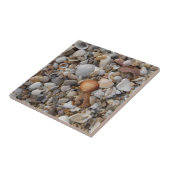 Muscheln am Meer Fliese (Seite)