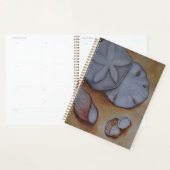 Muscheln am Meer Planer (Anzeige)