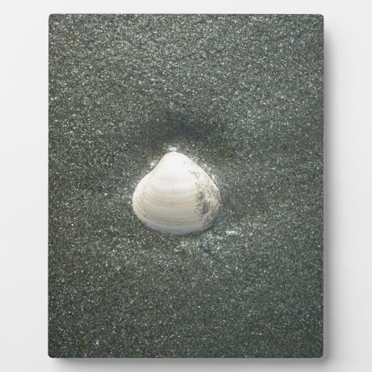 Muscheln am Meeresufer Hakuna Matata.JPG Fotoplatte (Vorderseite)