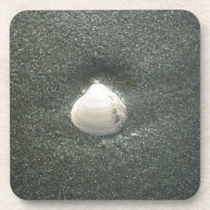 Muscheln am Meeresufer Hakuna Matata.JPG Getränkeuntersetzer