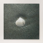 Muscheln am Meeresufer Hakuna Matata.JPG Puzzle (Vertikal)
