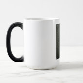 Muscheln am Meeresufer Hakuna Matata.JPG Verwandlungstasse (Links)