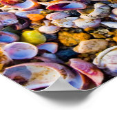 Muscheln am Meeresufer Poster (Ecke)