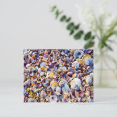 Muscheln am Meeresufer Postkarte (Stehend Vorderseite)