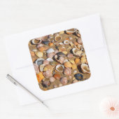 Muscheln am Sandstrand | Andalusien, Spanien Quadratischer Aufkleber (Umschlag)