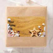 Muscheln am Strand (Insitu)