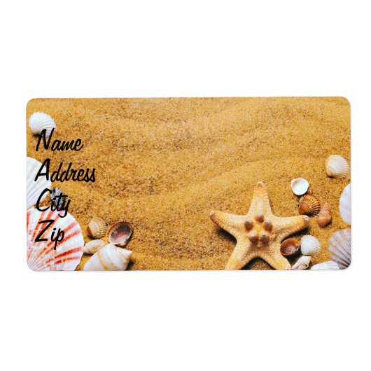 Muscheln am Strand (Vorne)