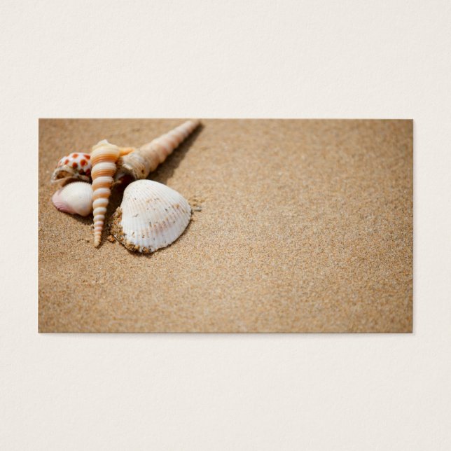 Muscheln am Strand (Vorderseite)