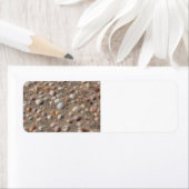 Muscheln am Strand (Insitu)