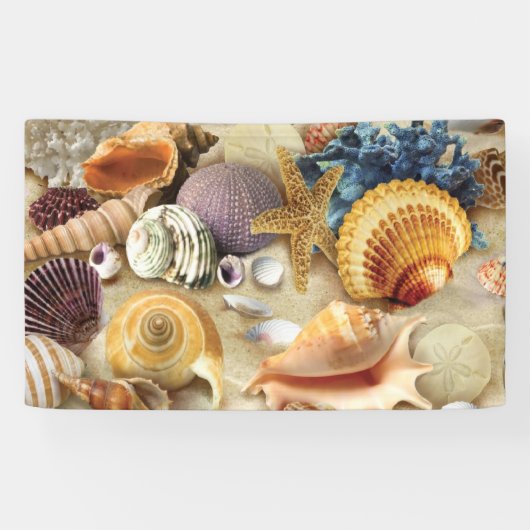 Muscheln am Strand Banner (Horizontal)