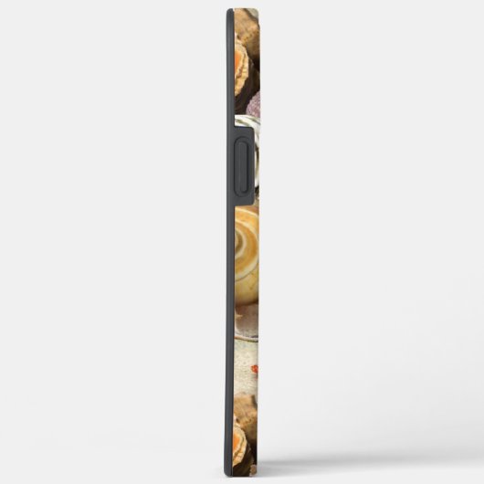 Muscheln am Strand Case-Mate iPhone Hülle (Rückseite / Rechts)