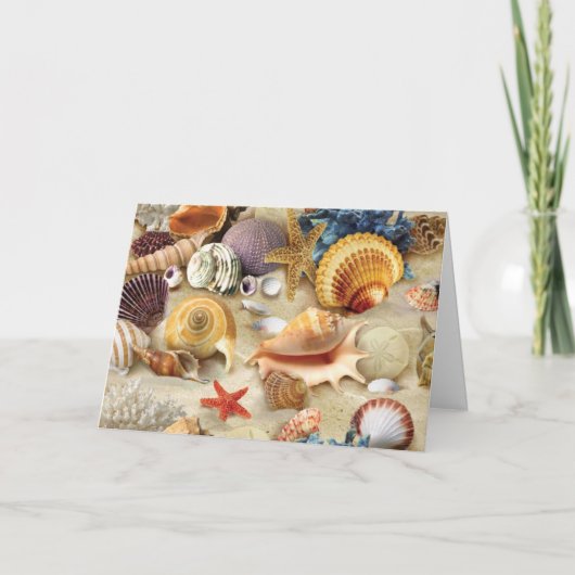 Muscheln am Strand Dankeskarte (Vorderseite)