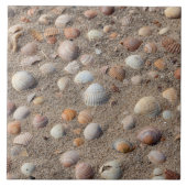 Muscheln am Strand Fliese (Vorderseite)
