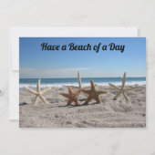 Muscheln am Strand - Florida Life - Flachbildschir (Vorderseite)