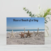 Muscheln am Strand - Florida Life - Flachbildschir (Stehend Vorderseite)