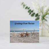 Muscheln am Strand - Florida Life Postkarte (Stehend Vorderseite)