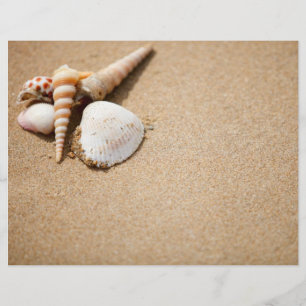 Muscheln am Strand Flyer