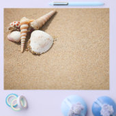 Muscheln am Strand Flyer (Einzeln)