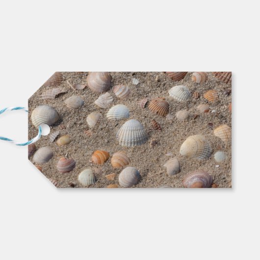 Muscheln am Strand Foto mit Happy Birthday Geschenkanhänger (Rückseite Horizontal)