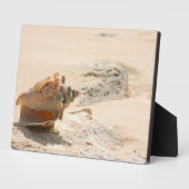 Muscheln am Strand Fotoplatte (Seite)