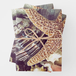 Muscheln am Strand Geschenkpapier Set