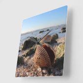 Muscheln am Strand in Florida Wanduhr (Winkel)