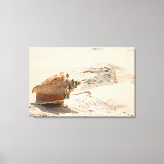Muscheln am Strand Leinwanddruck (Vorderseite)