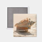 Muscheln am Strand Magnet (Vorderseite/Rückseite)