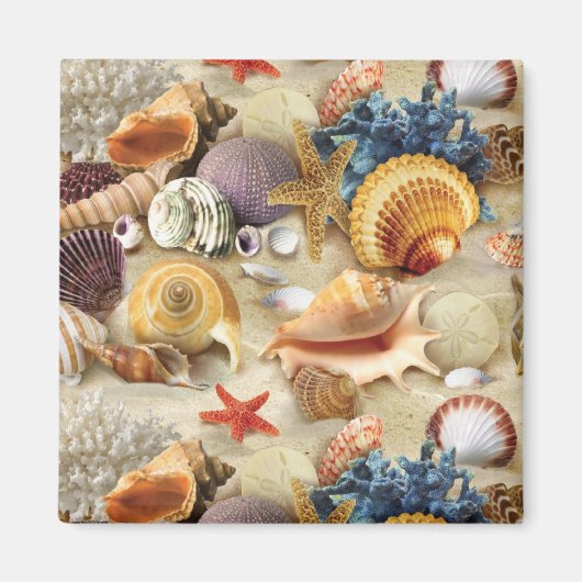 Muscheln am Strand Magnet (Vorne)