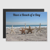 Muscheln am Strand - Magnetkarte (Vorne/Hinten)