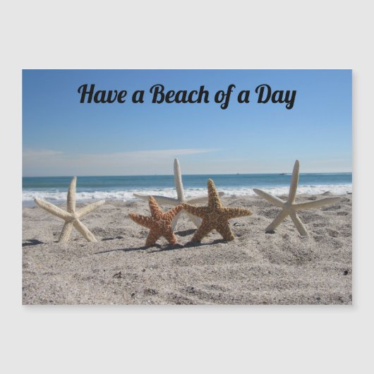 Muscheln am Strand - Magnetkarte (Vorderseite)