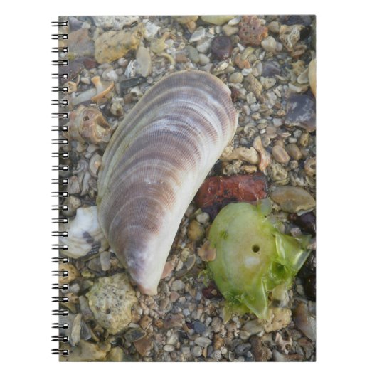 Muscheln am Strand Notizblock (Vorderseite)