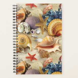 Muscheln am Strand Planer
