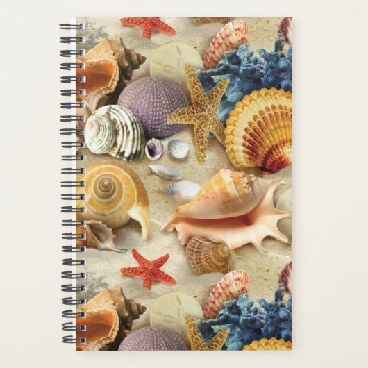 Muscheln am Strand Planer (Vorderseite)