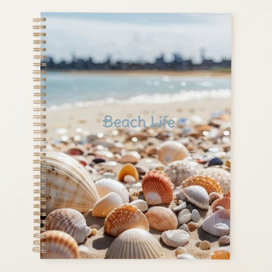 Muscheln am Strand Planer (Vorderseite)