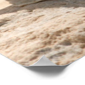 Muscheln am Strand Poster (Ecke)