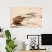 Muscheln am Strand Poster (Heimbüro)