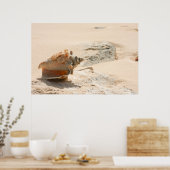 Muscheln am Strand Poster (Küche)