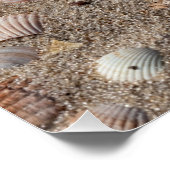 Muscheln am Strand Poster (Ecke)